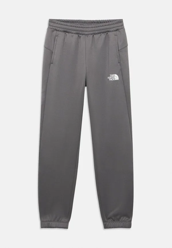 Спортивные штаны унисекс teen reaxion The North Face, Smoked Pearl