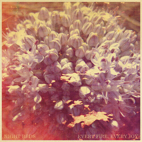

CD диск Night Beds: Every Fire: Every Joy