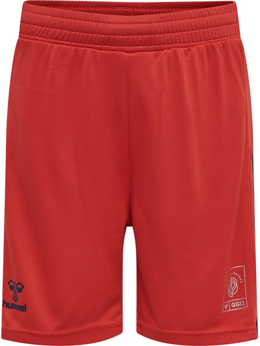 

Брюки Hummel Regular Workout Pants GG12, красный
