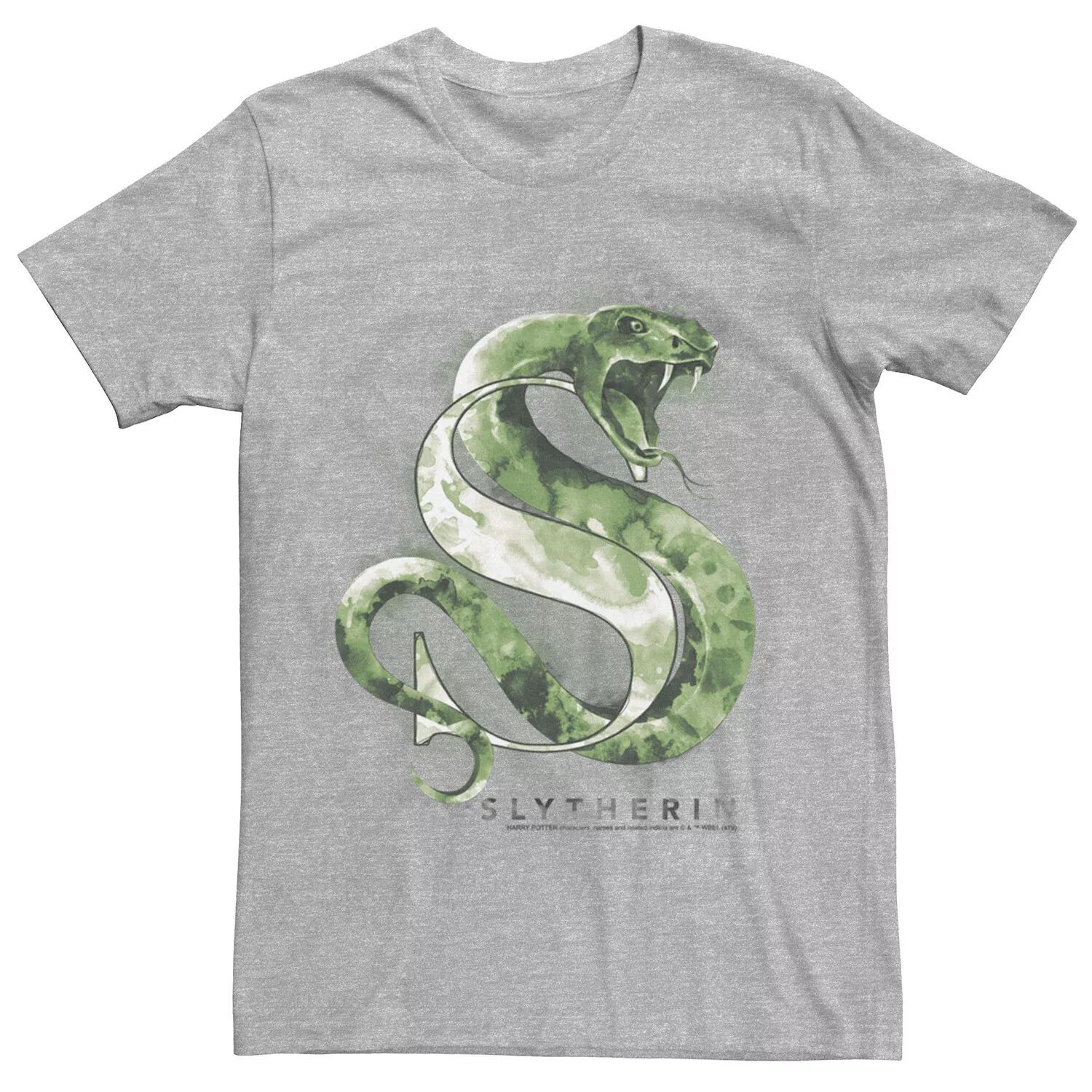 

Мужская акварельная футболка Harry Potter Slytherin House Licensed Character