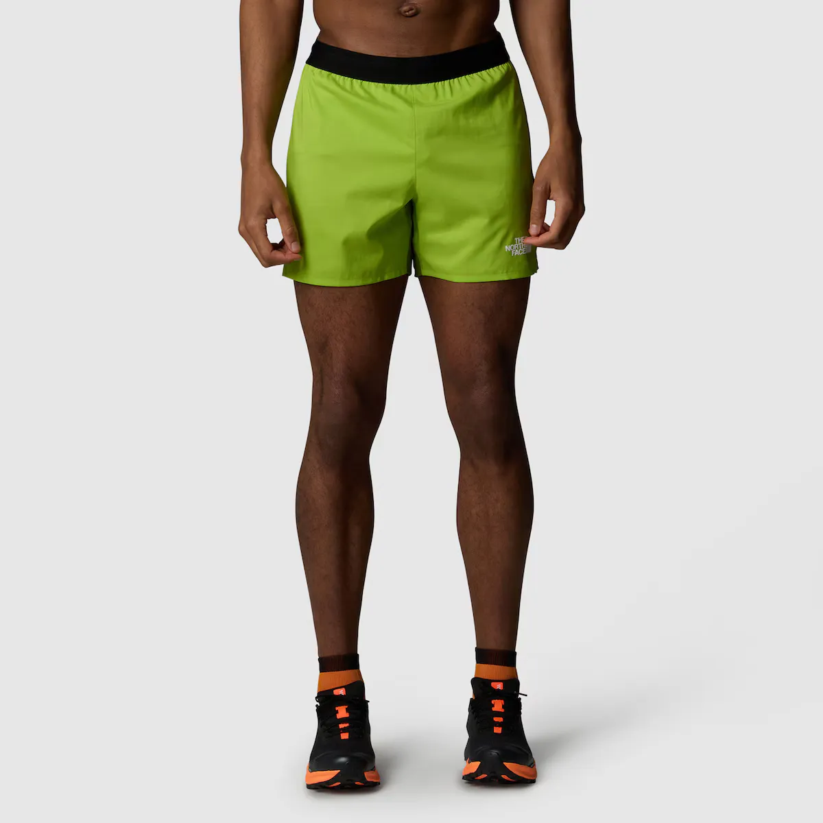 

Мужские шорты The North Face Breeze 5", зеленый