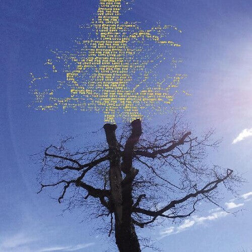 

Виниловая пластинка Sadier, Laetitia: Rooting For Love