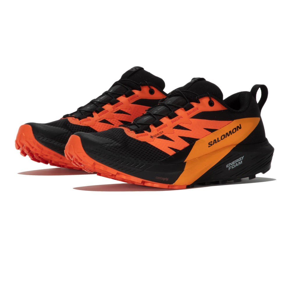 

Кроссовки для бега Salomon Sense Ride 5 GORE-TEX Trail, черный