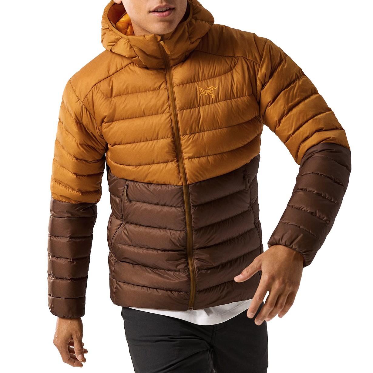 

Толстовка Arc'teryx Cerium