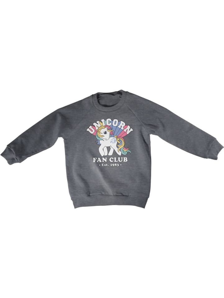 

Детская толстовка My Little Pony Unicorn Fan Club Kids Sweatshirt серого цвета My Little Pony