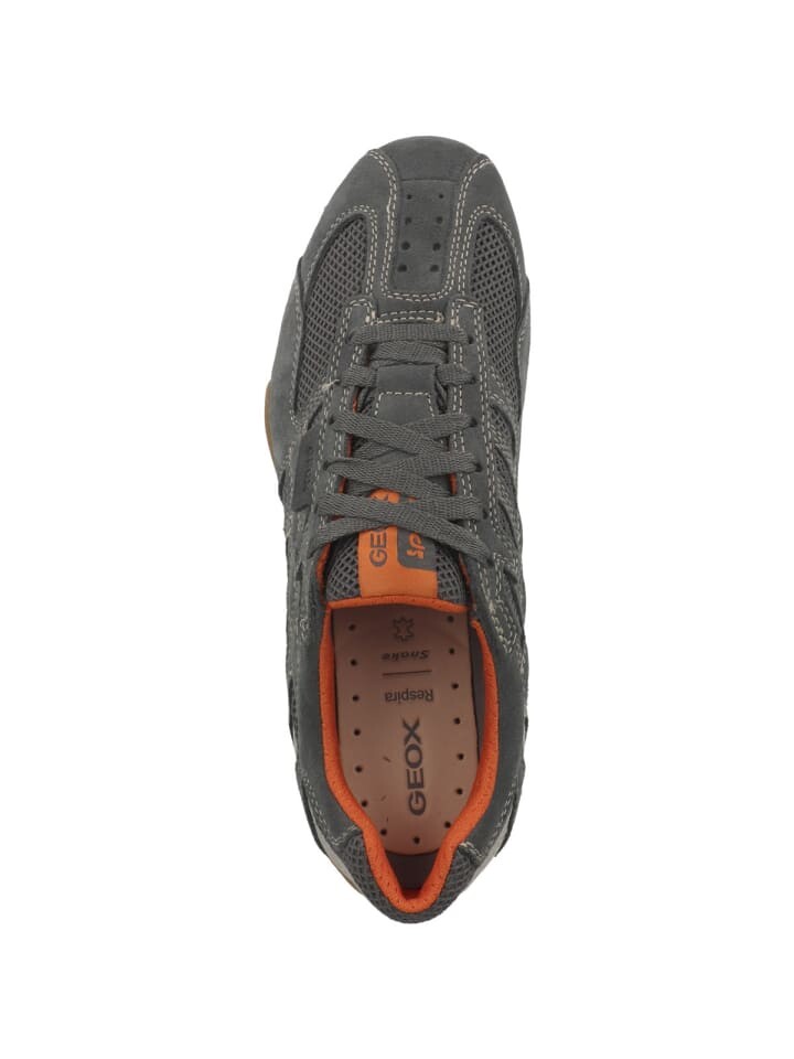 Кроссовки на шнуровке Geox Sneaker low U Snake Original A, серый — фото 2
