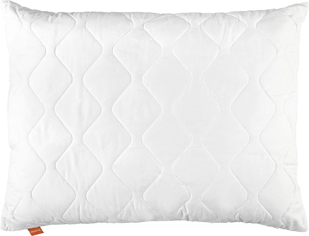 

Спальное место — Комфорт 100, подушка, 70х90 см, белый sleepling