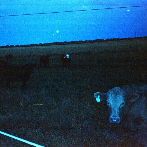 

Виниловая пластинка Waveform* - Antarctica - Dark Blue