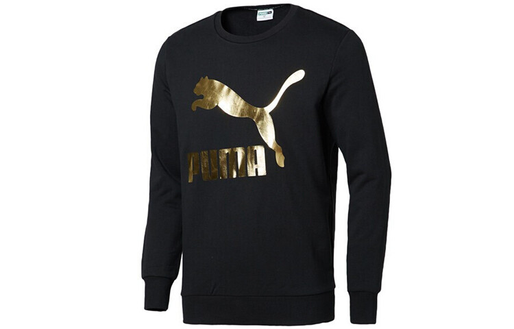 

Толстовка мужская Puma
