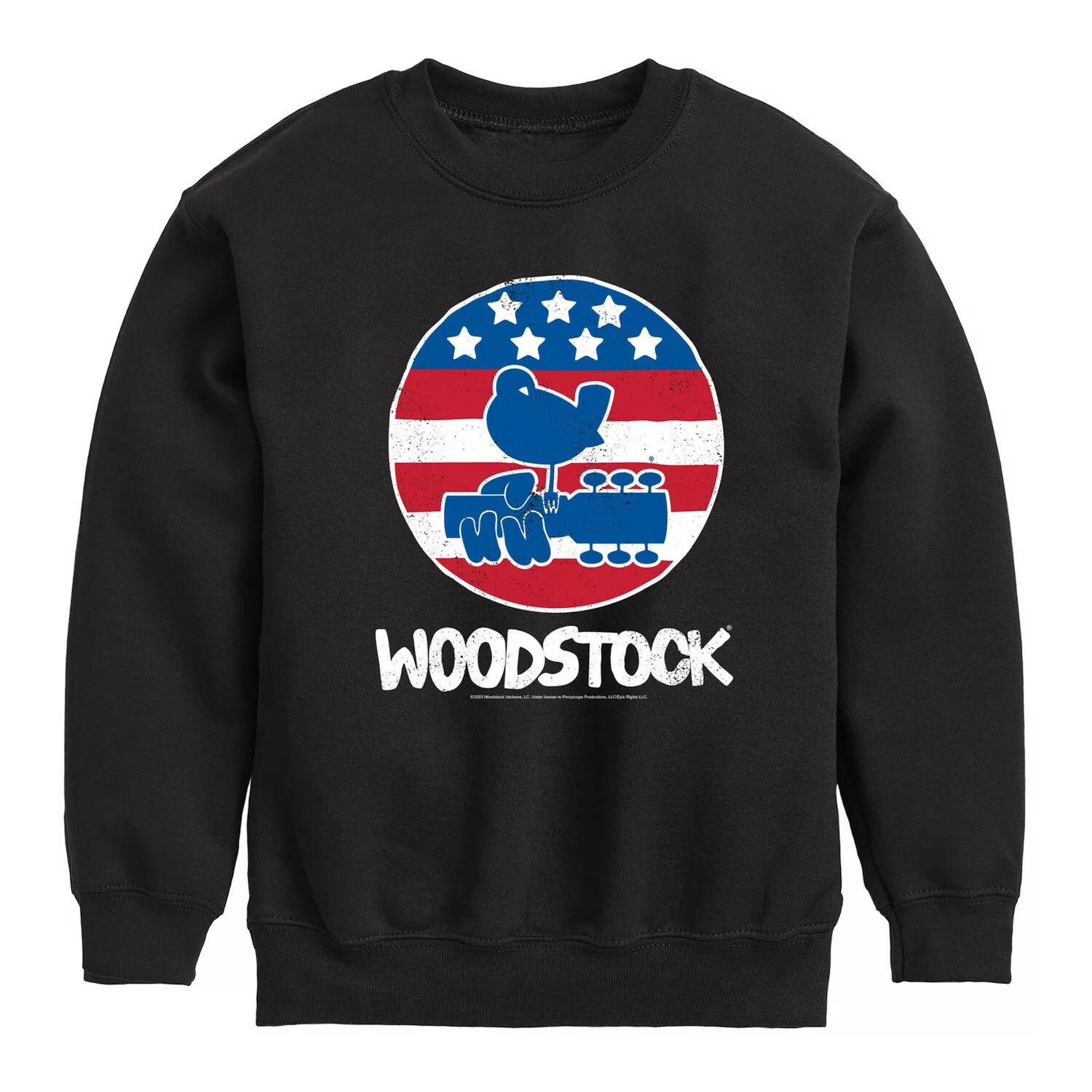 

Флисовый свитшот Woodstock Americana для мальчиков 8–20 лет Licensed Character
