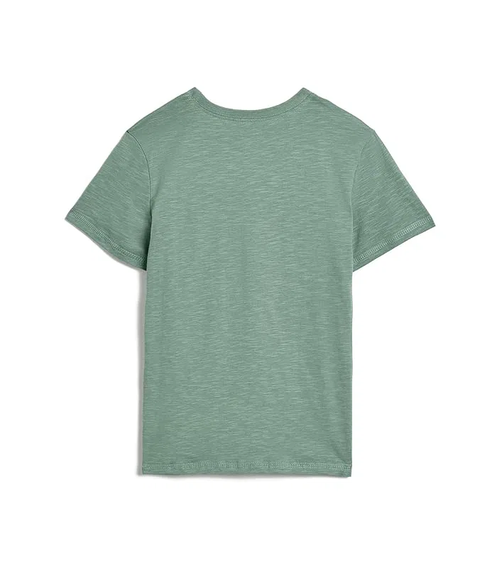 Футболка детская с принтом Graphic Tee Hatley Kids, Chinois Green — фото 2