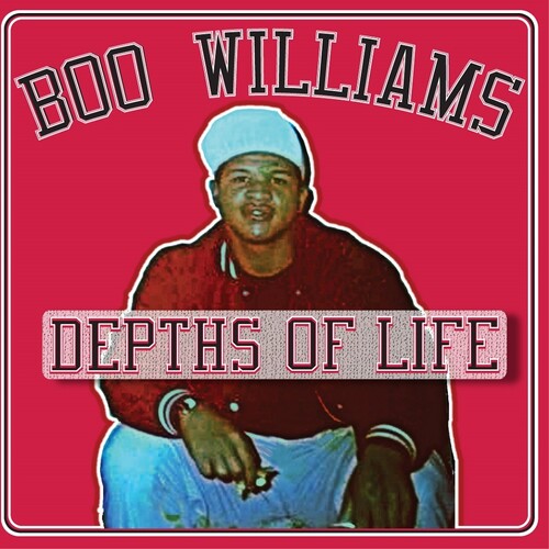 

Виниловая пластинка Williams, Boo: Family Affair Vol. 1 (Various Artists)