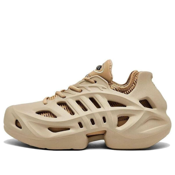 

Кроссовки adifom climacool Adidas, бежевый