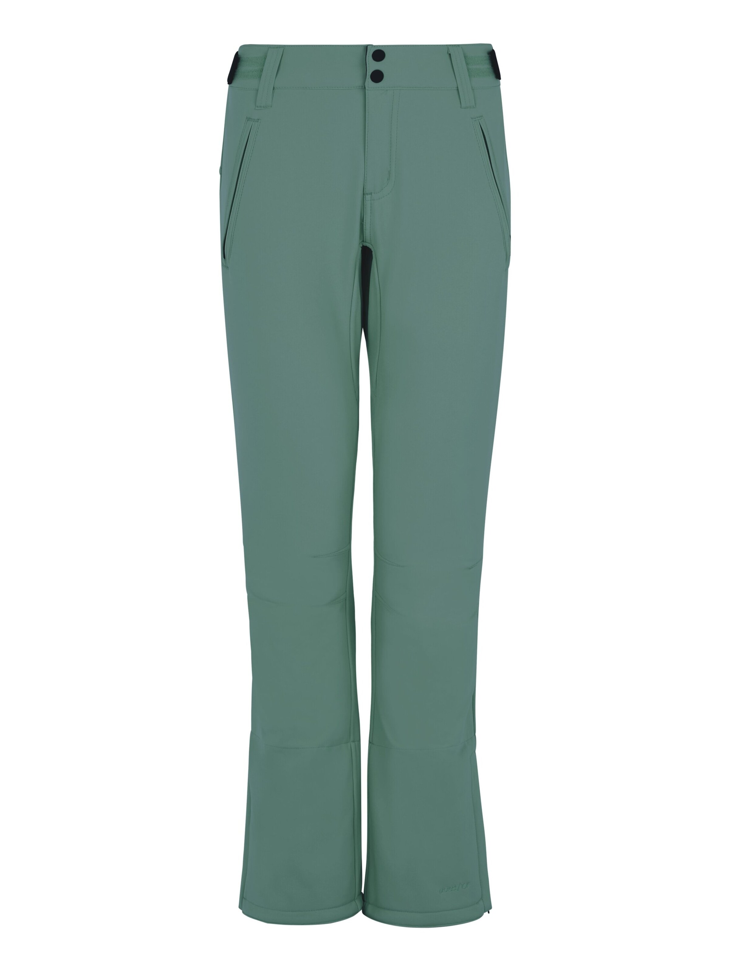 

PROTEST Обычные тренировочные штаны 'PRTRELOLE' в зеленом цвете