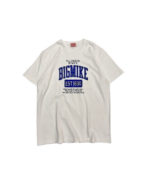 

Футболка с коротким рукавом, принт "BIG MIKE HANDWRITING COLLEGE", бело-синяя