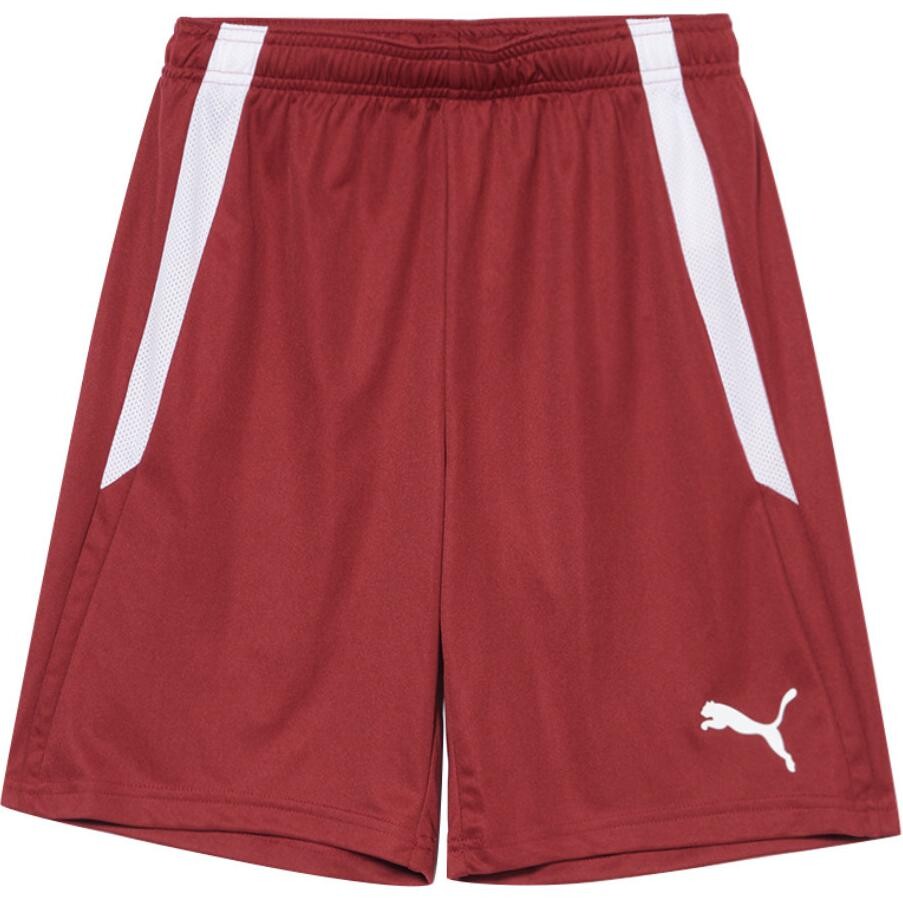 

Спортивные шорты мужские бордовые Puma, цвет Burgundy