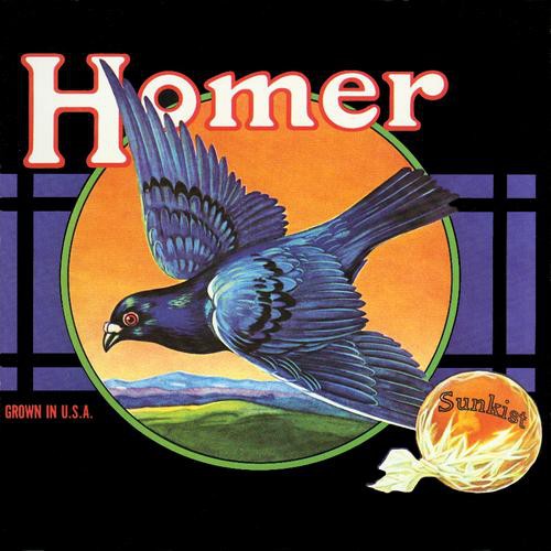 

CD диск Homer: Grown In U.S.A.