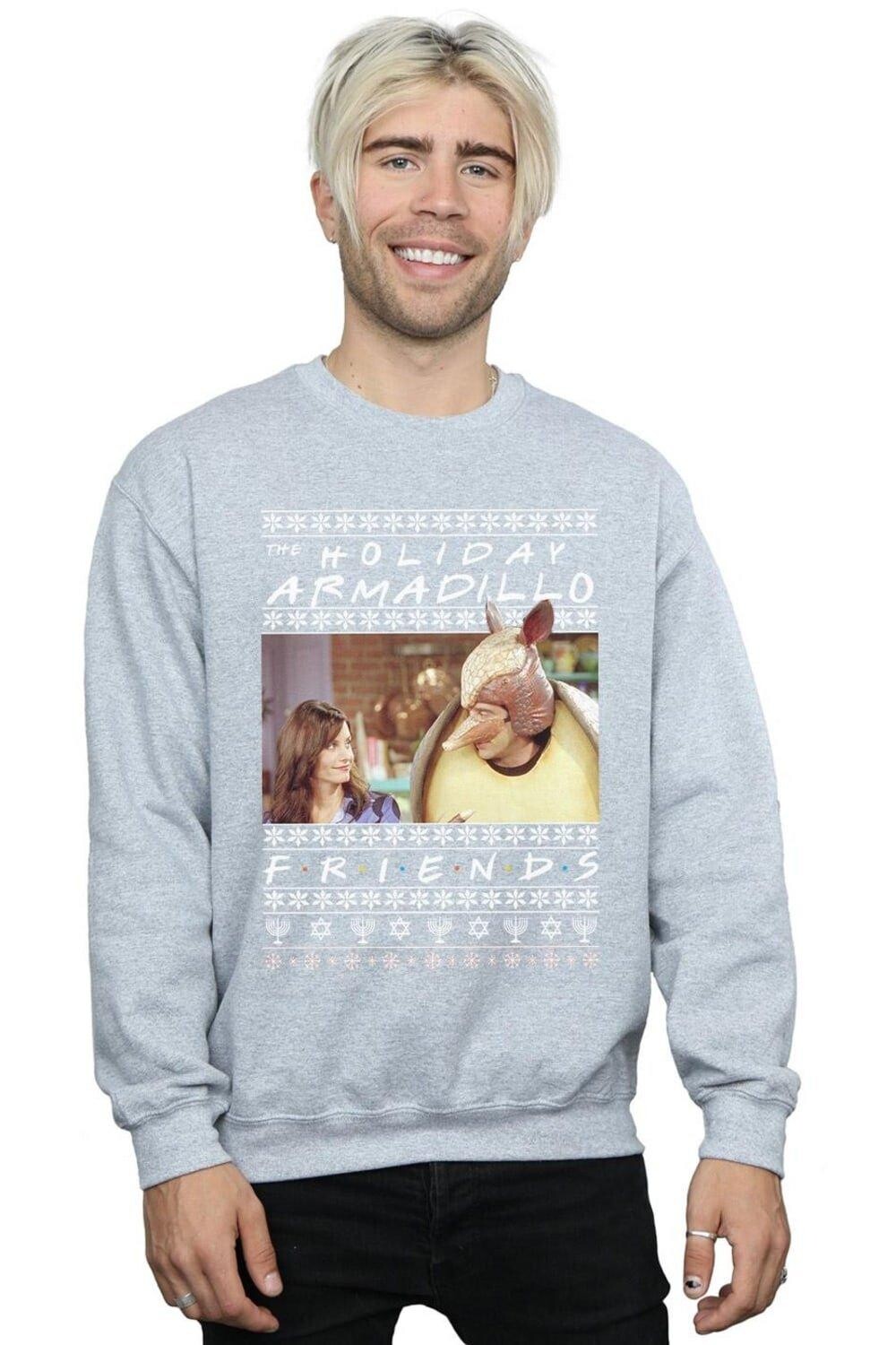 

Толстовка Fair Isle Holiday Armadillo Friends, серый