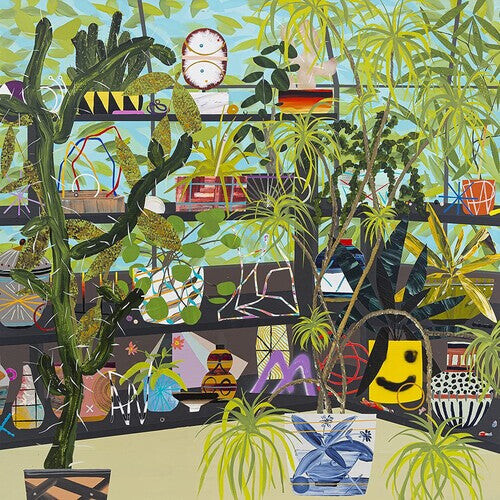 

Виниловая пластинка Deerhoof: Actually, You Can (Olive Green)