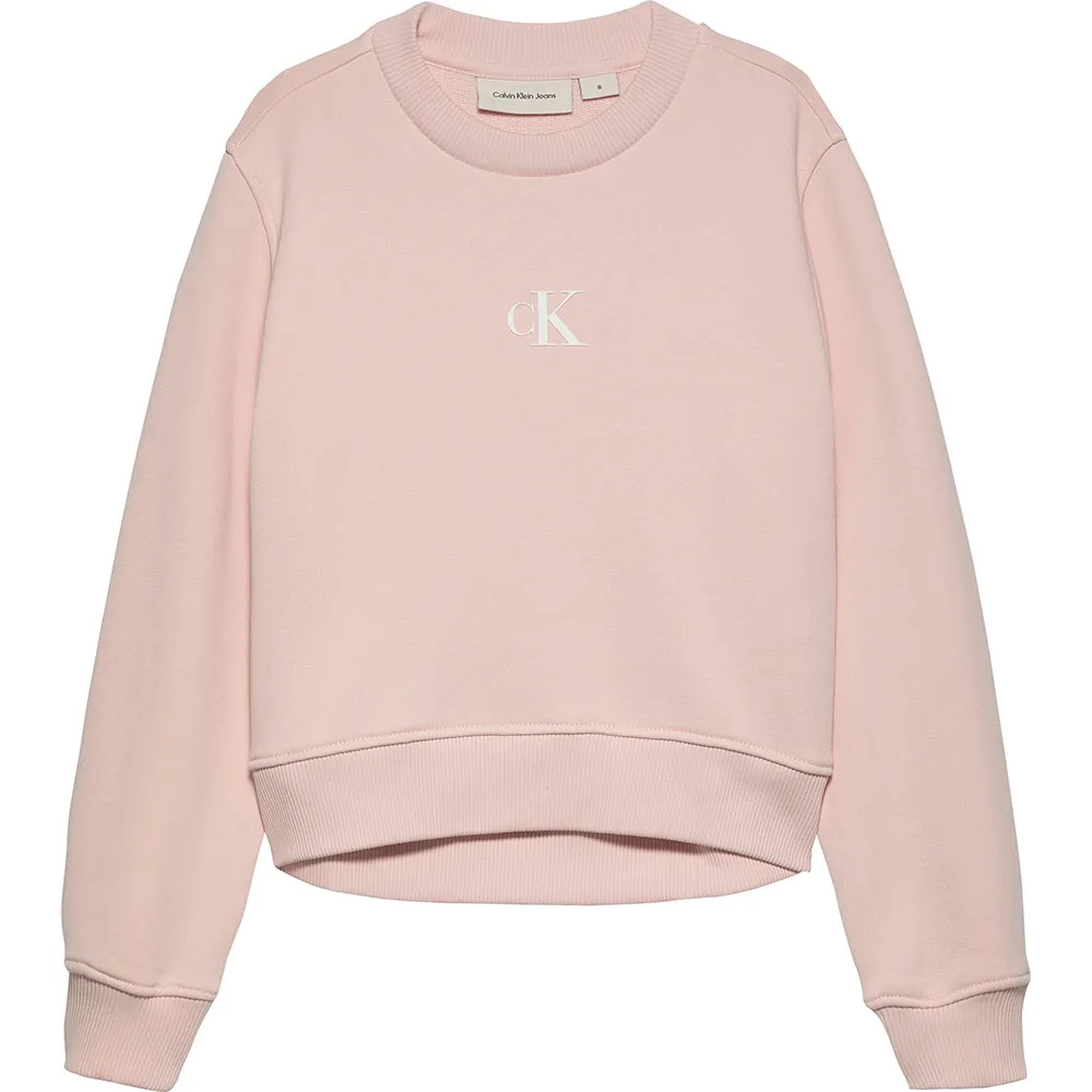 

Толстовка Calvin Klein Jeans Logo, розовый
