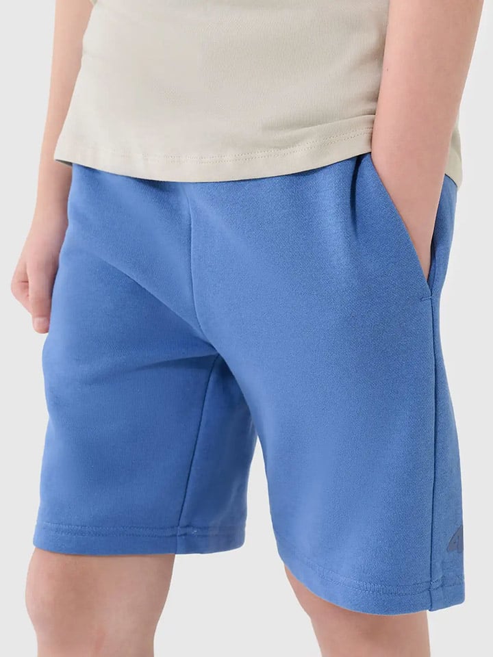 

Шорты 4F, синий