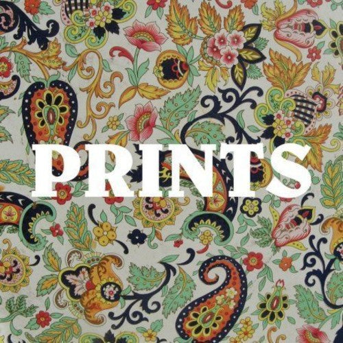 

CD диск Prints: Prints