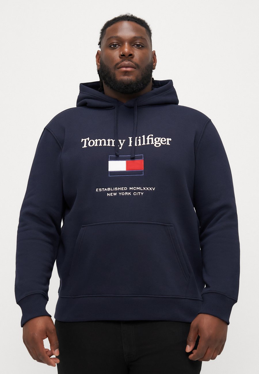 

Толстовка Tommy Hilfiger EMBRO FLAG HOODIE, Desert Sky/Dark Blue, Коричневый, Толстовка Tommy Hilfiger EMBRO FLAG HOODIE, Desert Sky/Dark Blue