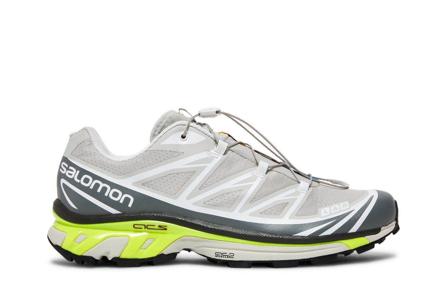 Кроссовки XT-6 Advanced Salomon, серый