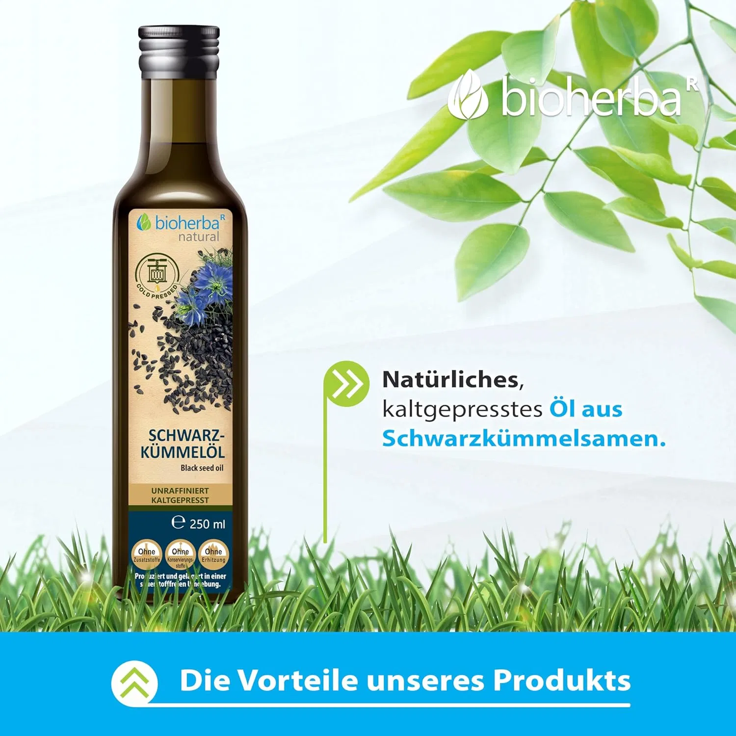 Набор из 4 бутылок масла черного тмина холодного отжима BIOHERBA Bioherba — фото 2