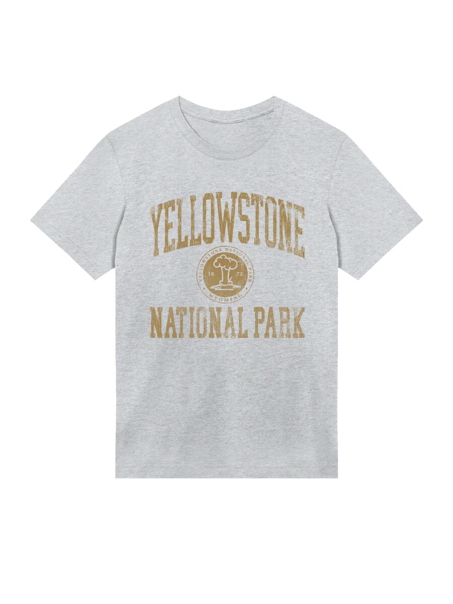

Рубашка F4NT4STIC US National Parks Yellowstone Wyoming, серый