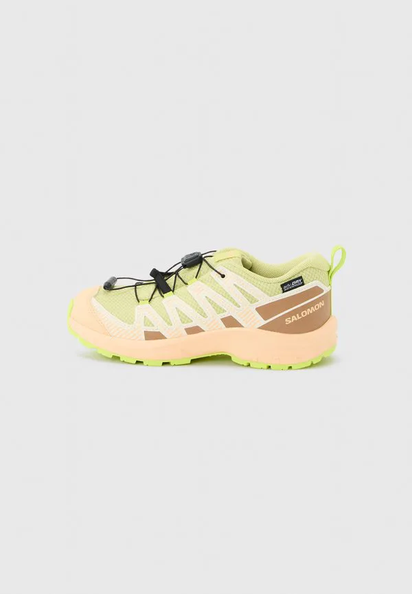 Унисекс походные ботинки xa pro v8 Salomon, Endive/Burro/Almond Cream