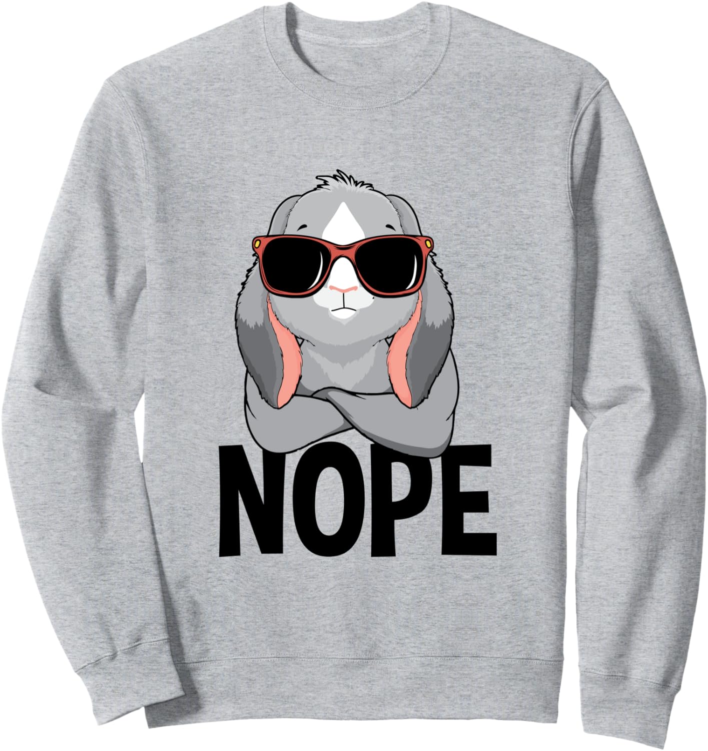 

Нет, кролик, нет, просто, нет, забавная толстовка с надписью Нет Rabbit Cool Funny Gifts, серый