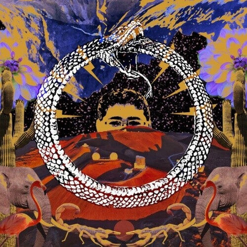 

Виниловая пластинка Stone House on Fire: Neverending Cycle