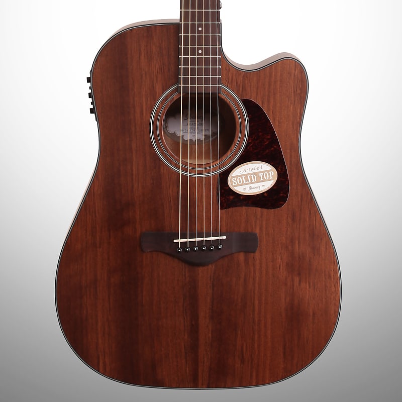 

Акустическая гитара Ibanez AW54CE Artwood Acoustic-Electric Guitar, Open Pore Natural