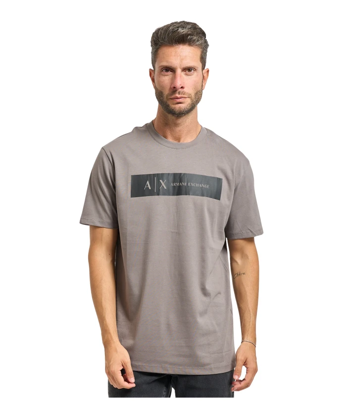

Мужская футболка с логотипом, серая Armani Exchange, серый