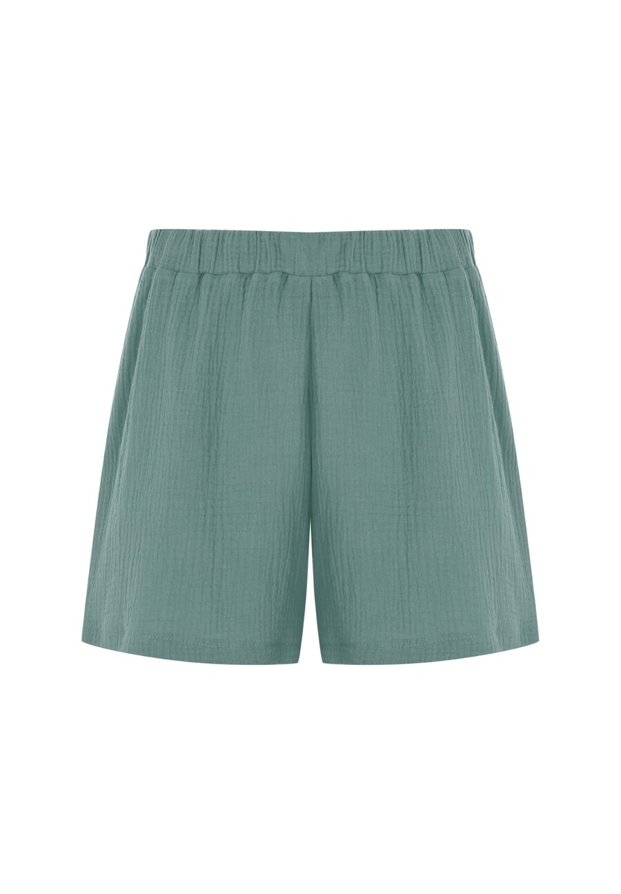 

Повседневные брюки FRESHLIONS, Mint