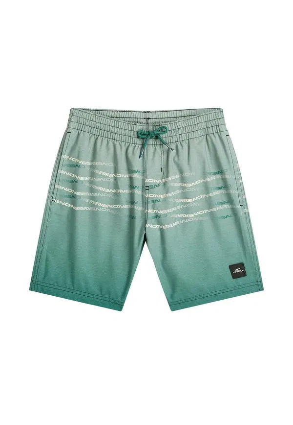 Плавки O'Neill, Boys Green Heritage Flip