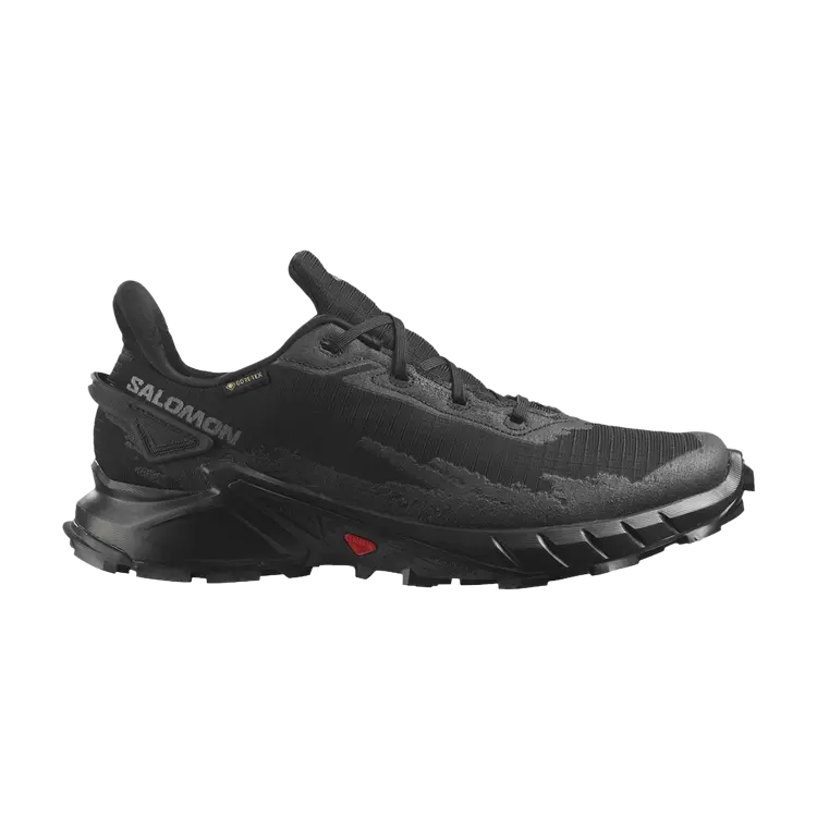 

Кроссовки Salomon Alphacross 4 GORE-TEX, черный