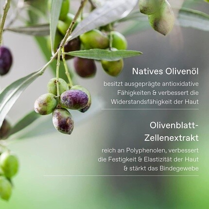 Увлажняющее молочко для тела Olive Fig с оливковым маслом первого отжима, 200 мл, 223,0 г, Korres — фото 2