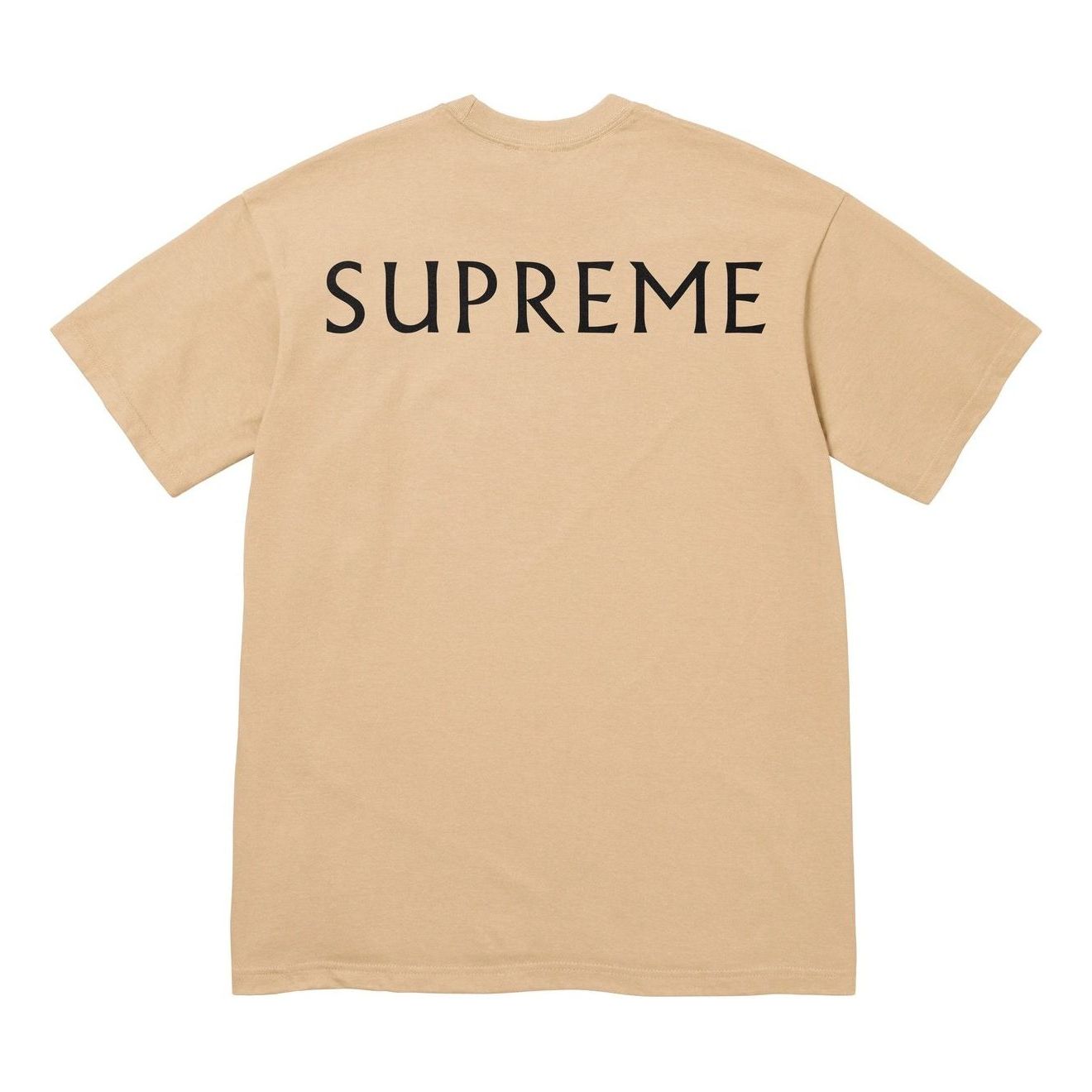 Футболка Supreme x Damien Hirst 'Khaki' — фото 2