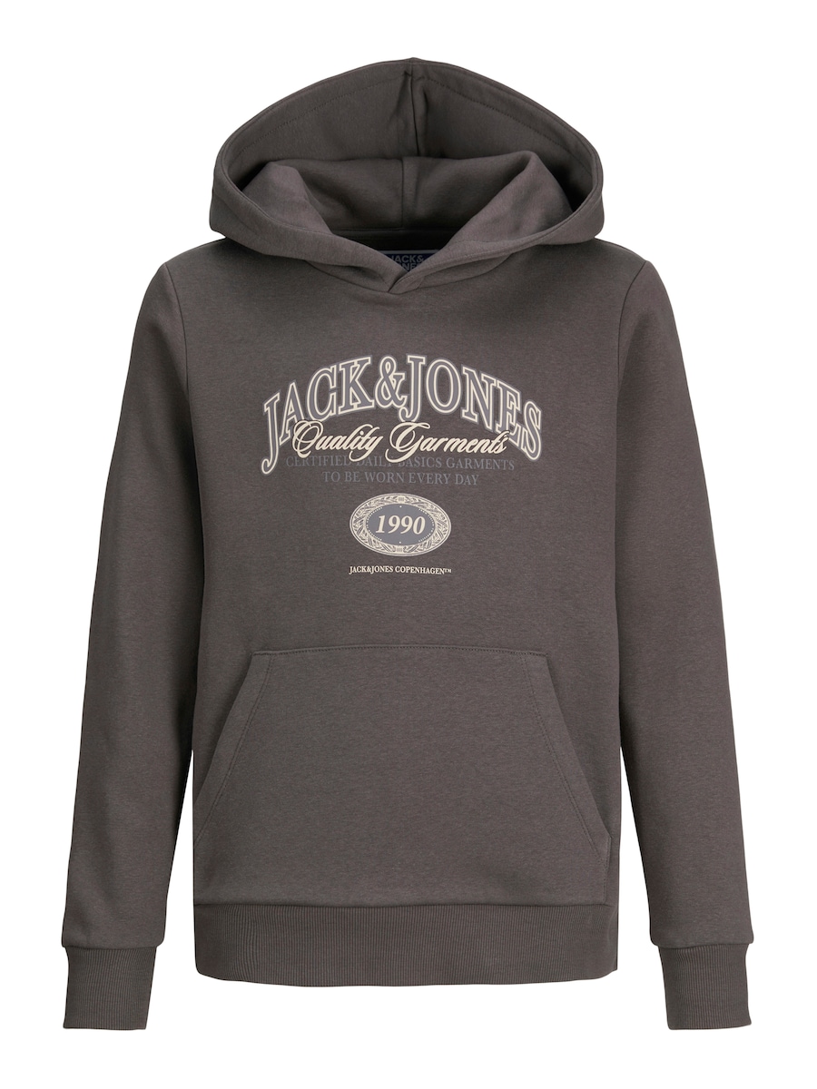 

Толстовка Jack & Jones Junior JJARI, серый/серо-коричневый