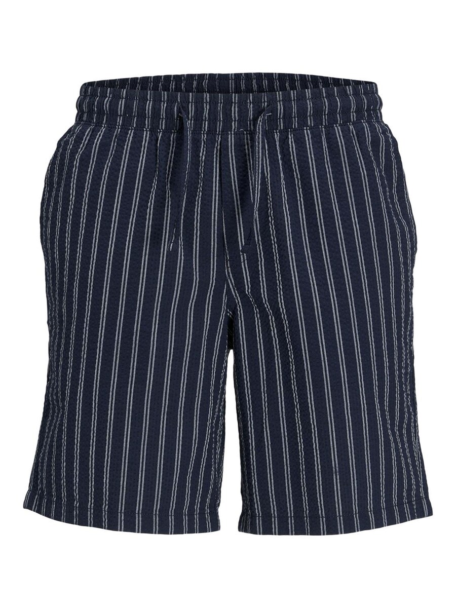 

Брюки свободного кроя JACK & JONES JPSTJaiden Palma, цвет Smoke blue/Dark blue