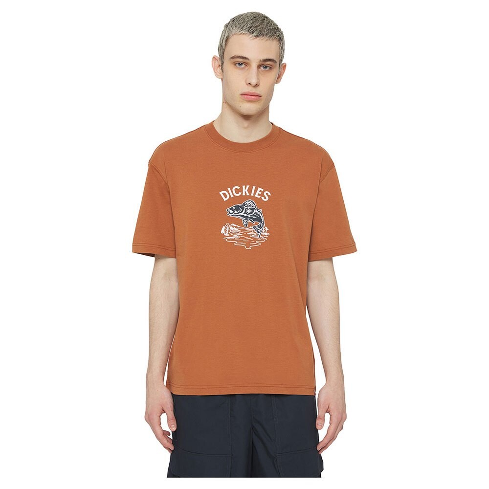 

Футболка с коротким рукавом Dickies Dumfries, оранжевый