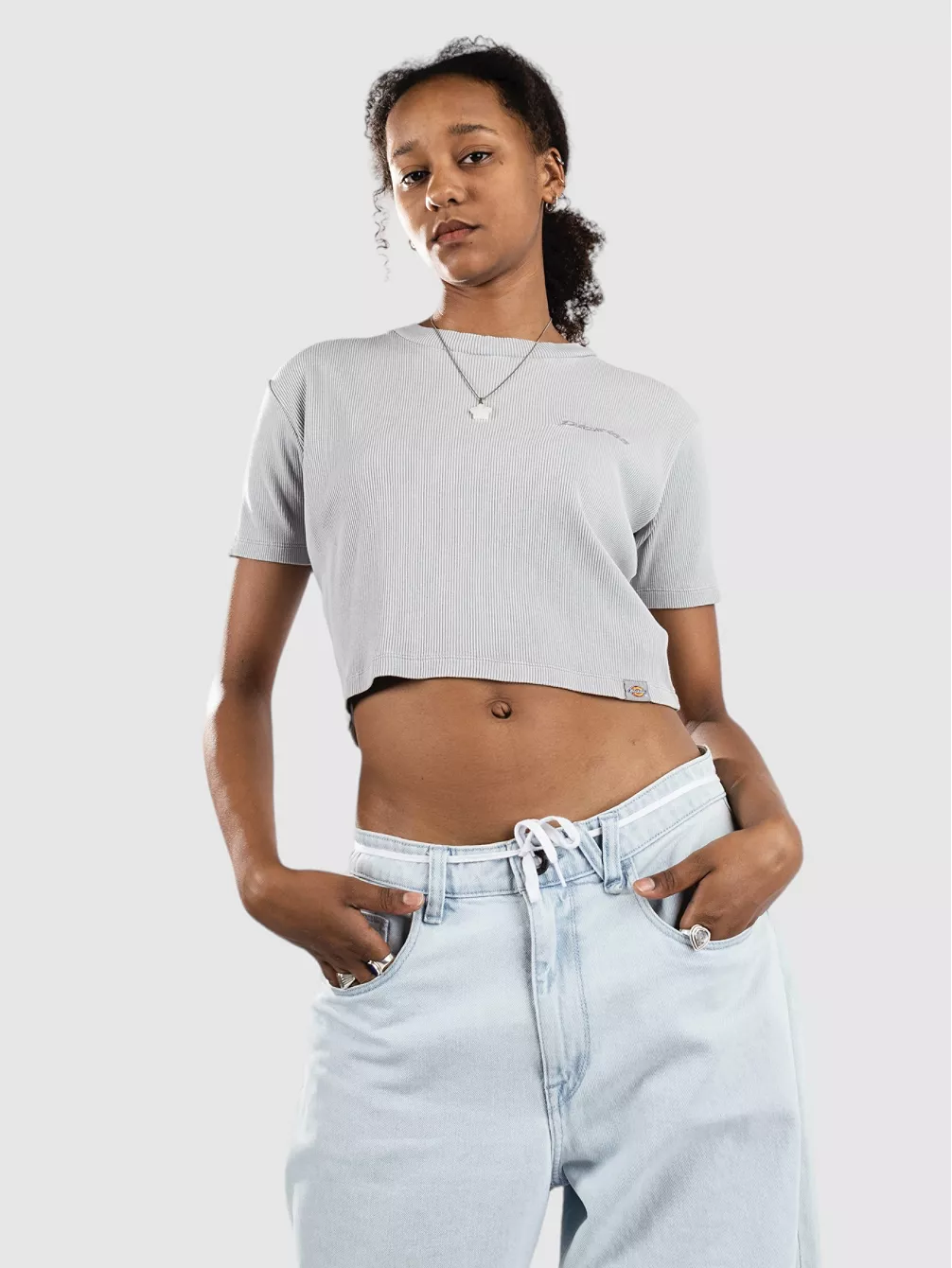 

Футболка «Плентивуд» Dickies, серый