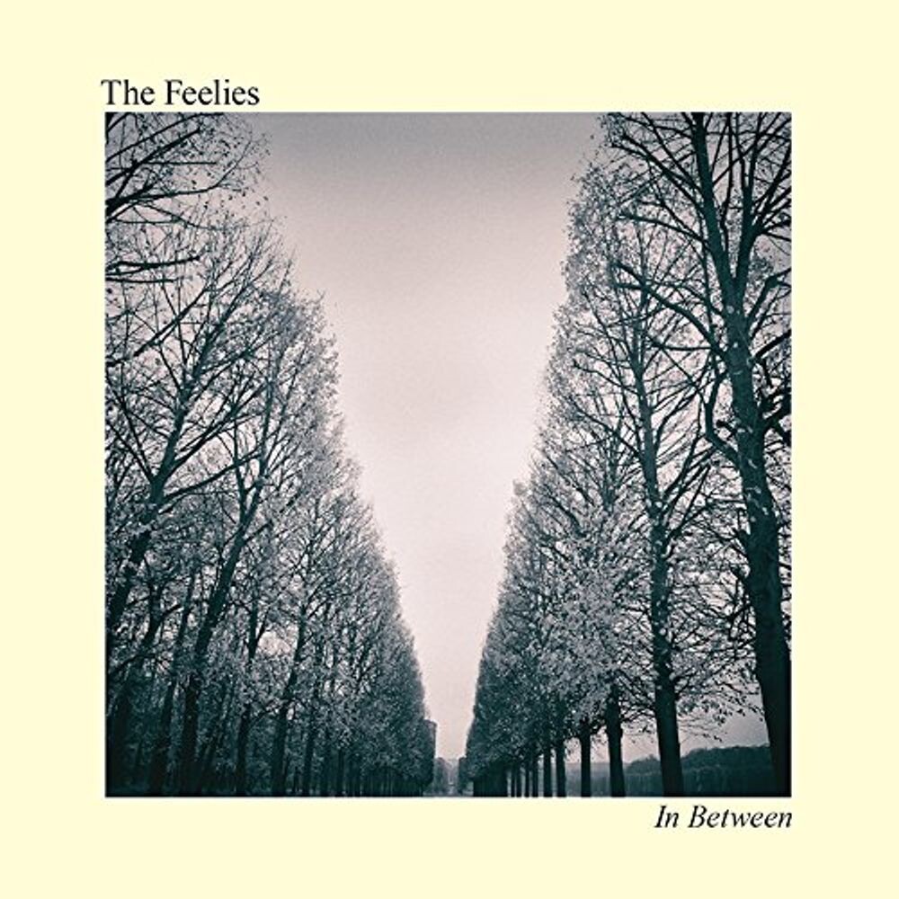 

Виниловая пластинка LP In Between - The Feelies