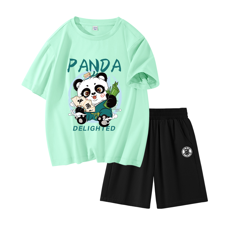 

Детская повседневная спортивная одежда WARRIOR, aqua зеленый / h chinese panda - черный / h shield k