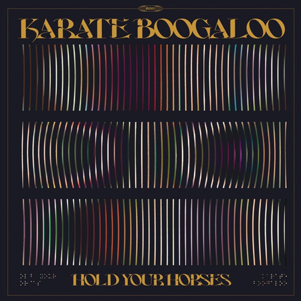 

Диск CD Hold Your Horses - Karate Boogaloo