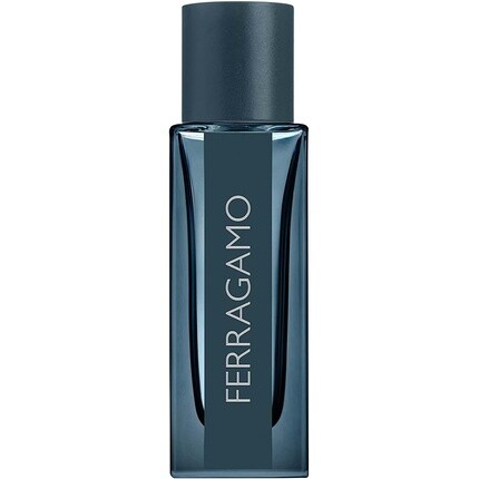 

Парфюмированная вода Intense Leather 100 мл, Salvatore Ferragamo