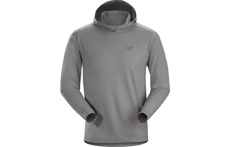 Толстовка с капюшоном Remige мужская Arcteryx, Gray/Ash