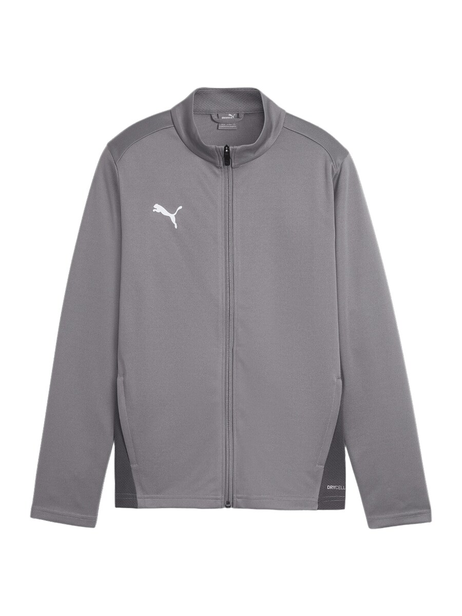 

Спортивная куртка PUMA TeamGoal, цвет Grey/Dark grey